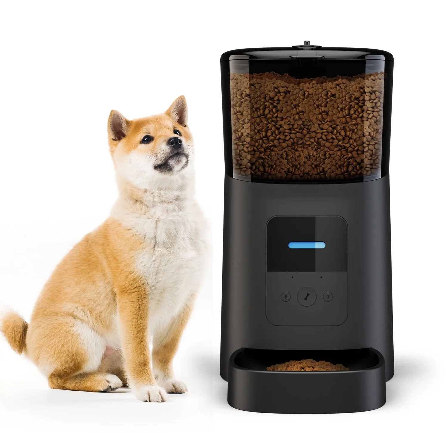 Automatic plastic pet feeder disassembled into 4 parts pan and grain barrel for cleaning