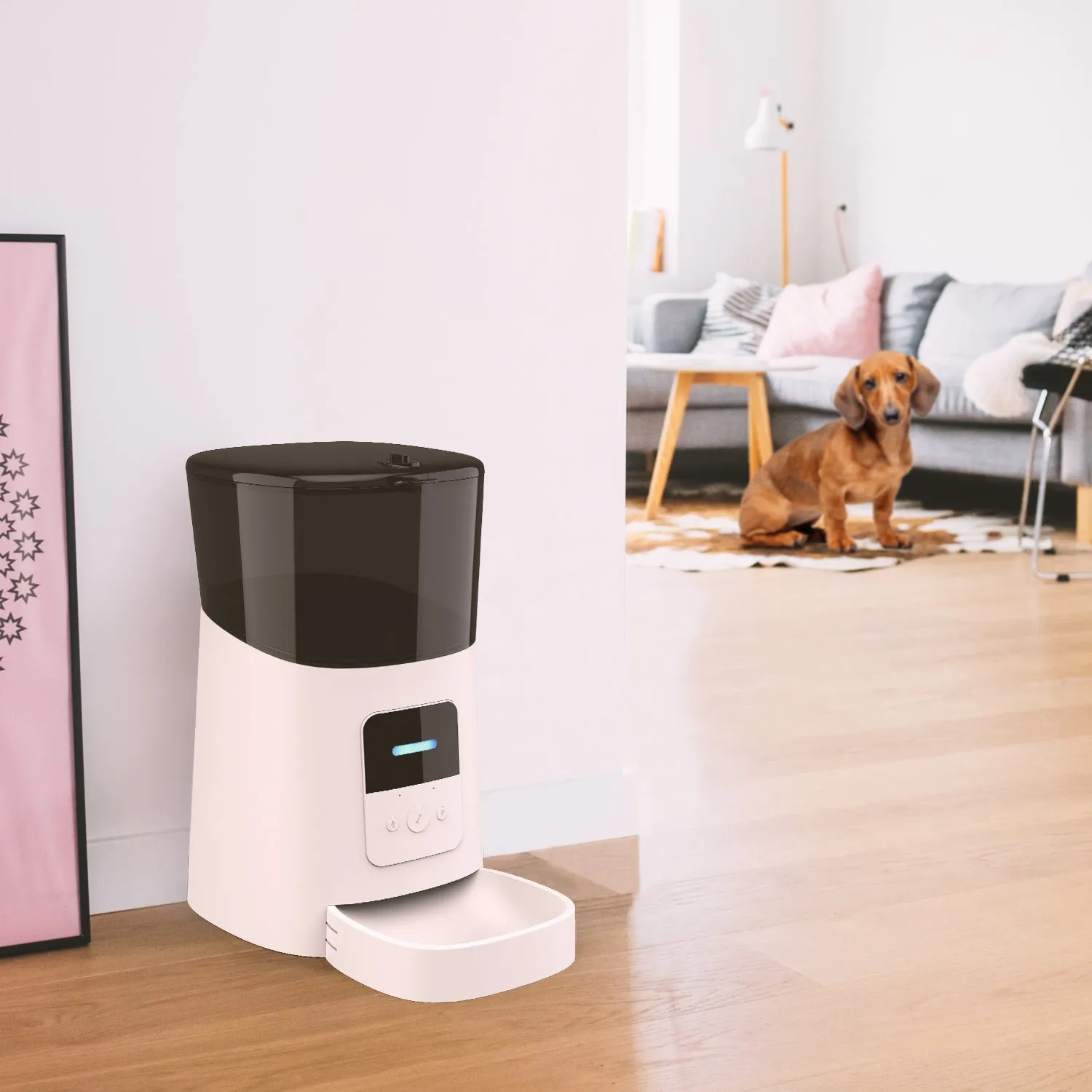 Automatic plastic pet feeder disassembled into 4 parts pan and grain barrel for cleaning