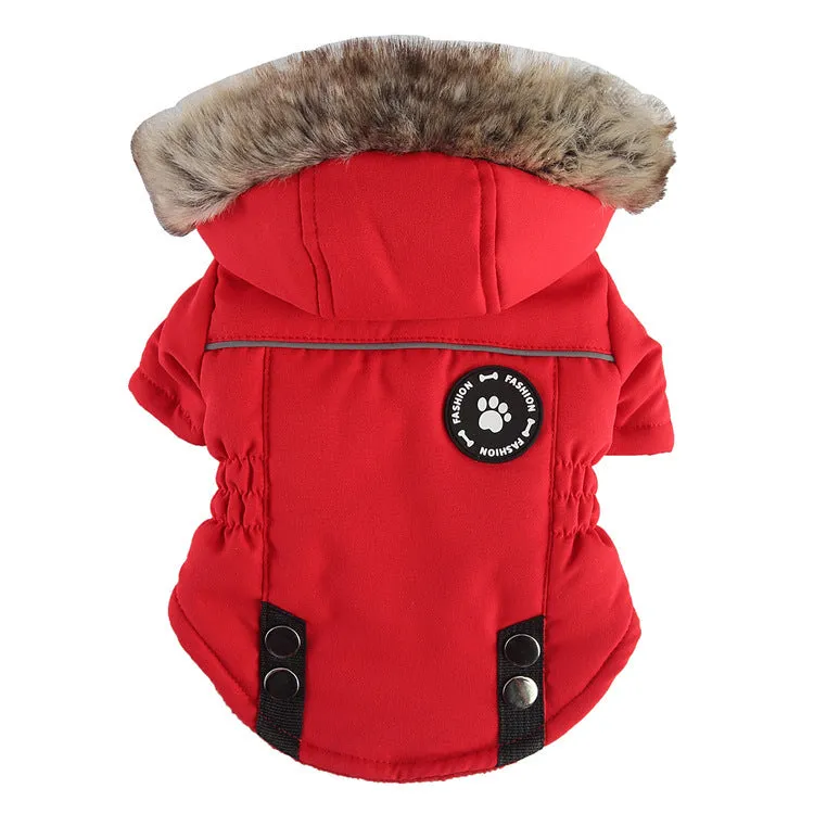 Pet winter cotton dog jacket with zipper in black on a dog outdoors