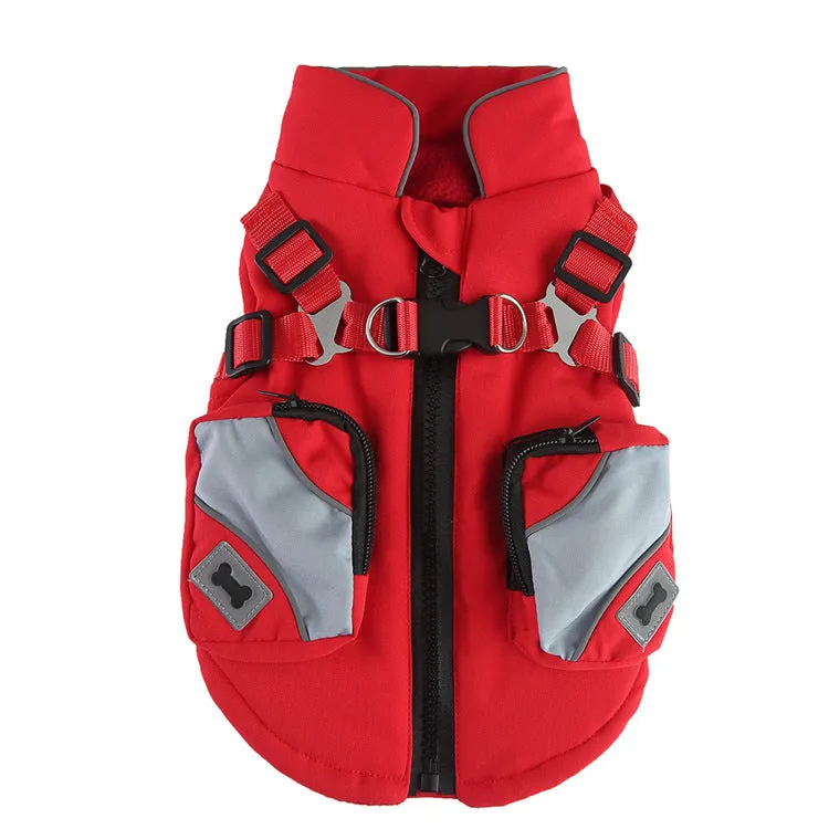 Pet winter cotton dog jacket with zipper in black on a dog outdoors