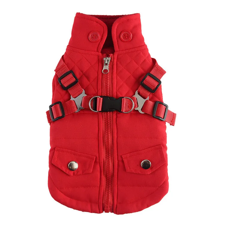 Pet winter cotton dog jacket with zipper in black on a dog outdoors