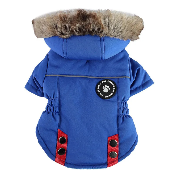 Pet winter cotton dog jacket with zipper in black on a dog outdoors