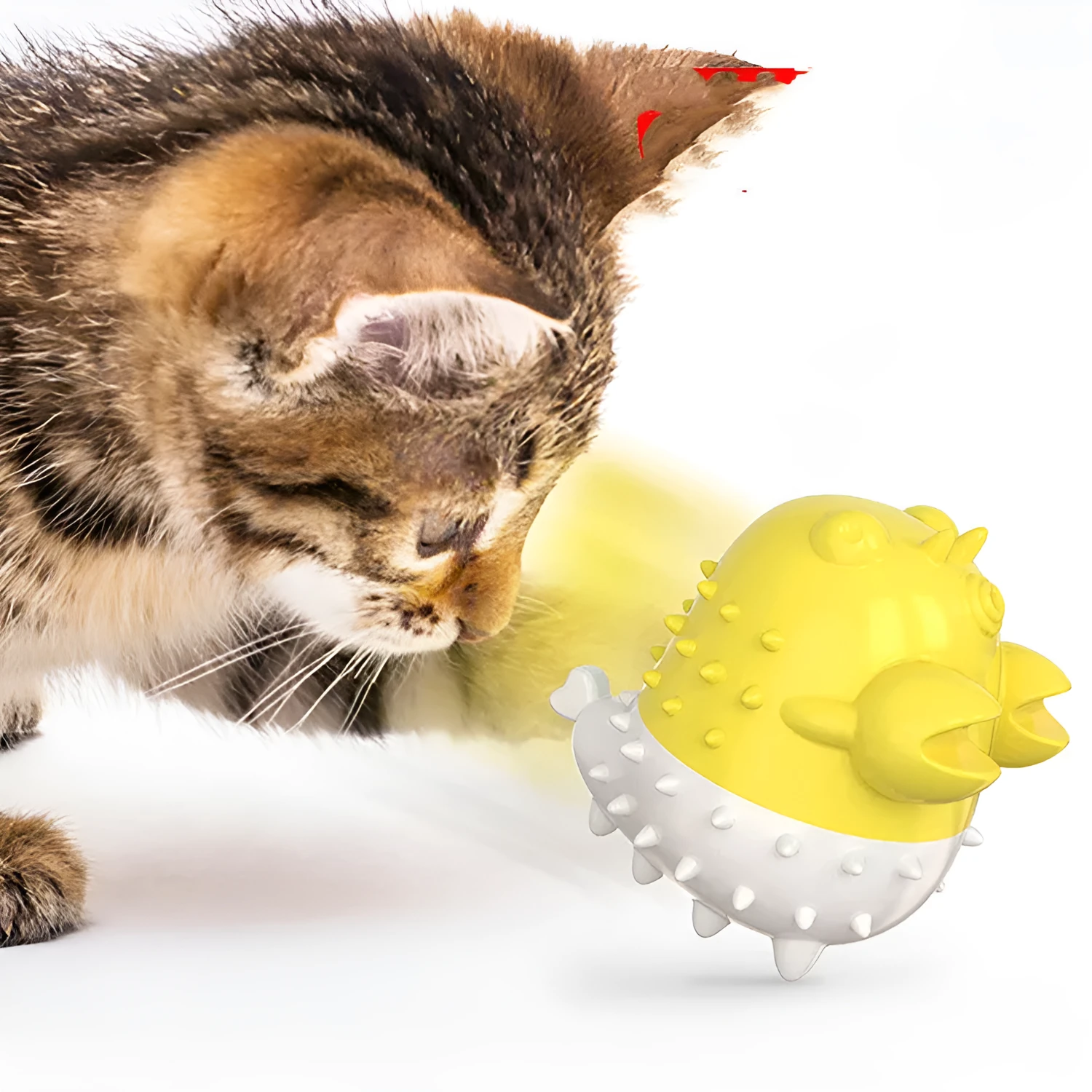 Electric vibration cat toy in blue, made of TPR material with USB charging port visible