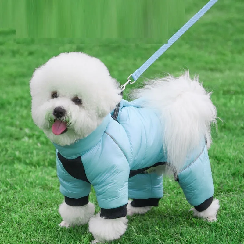 Winter dog down jacket waterproof pet clothing for small dogs in black with fluff two feet style
