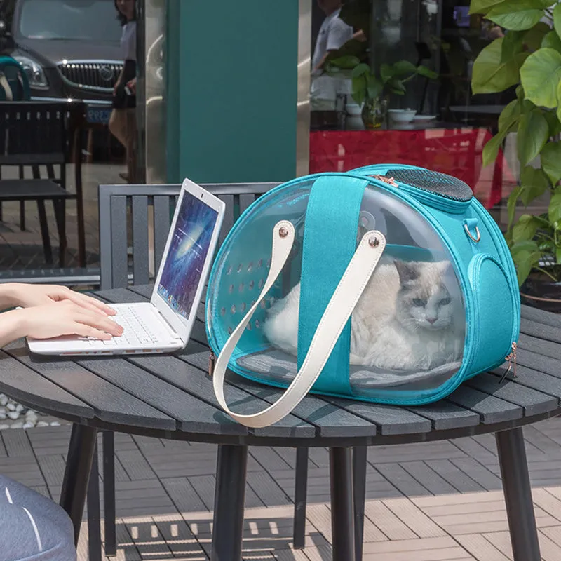 Double Fish transparent PVC pet backpack carrier for small dogs and cats with locking mechanism and ventilation holes, sky blue colour