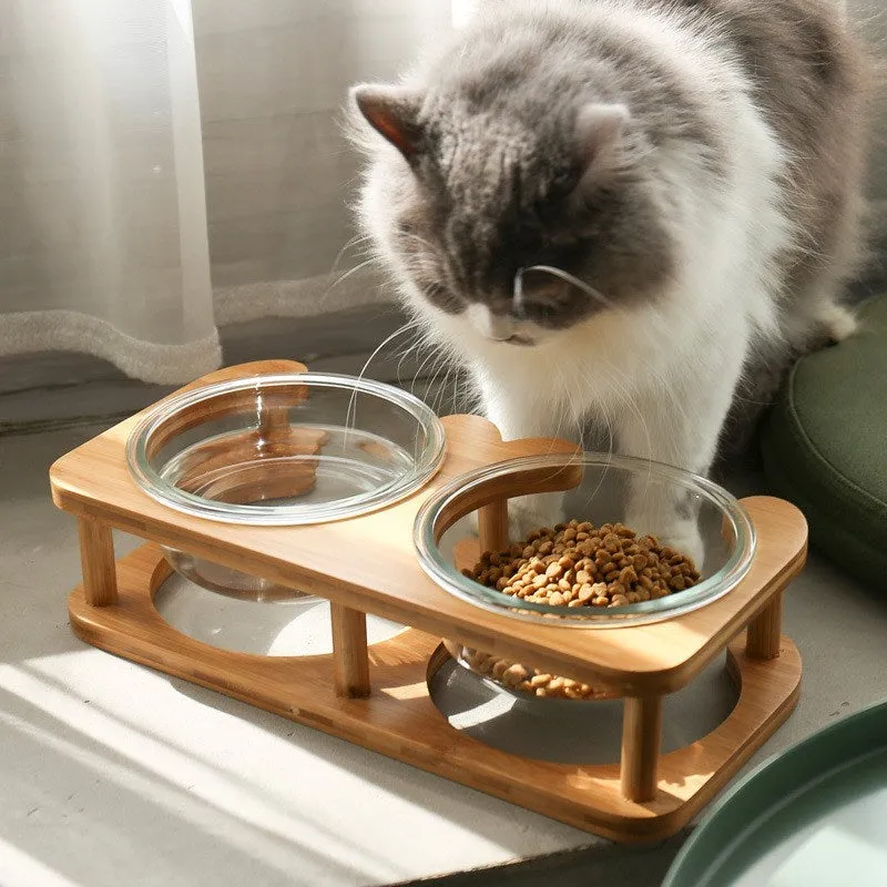 Clear glass cat bowl with 14.7cm diameter and 480ml capacity on stainless steel stand
