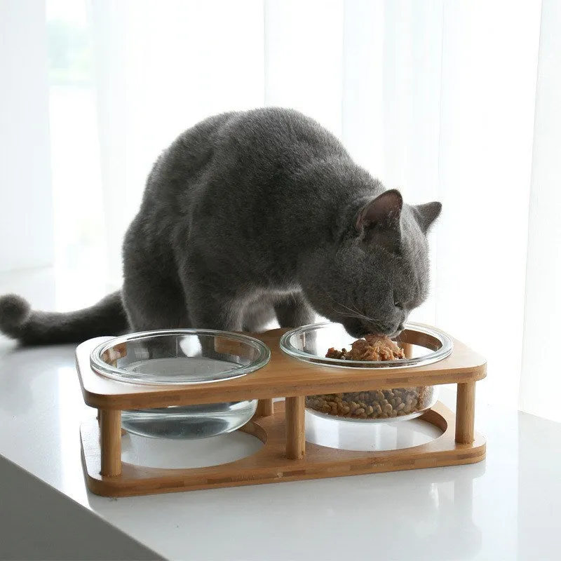Clear glass cat bowl with 14.7cm diameter and 480ml capacity on stainless steel stand