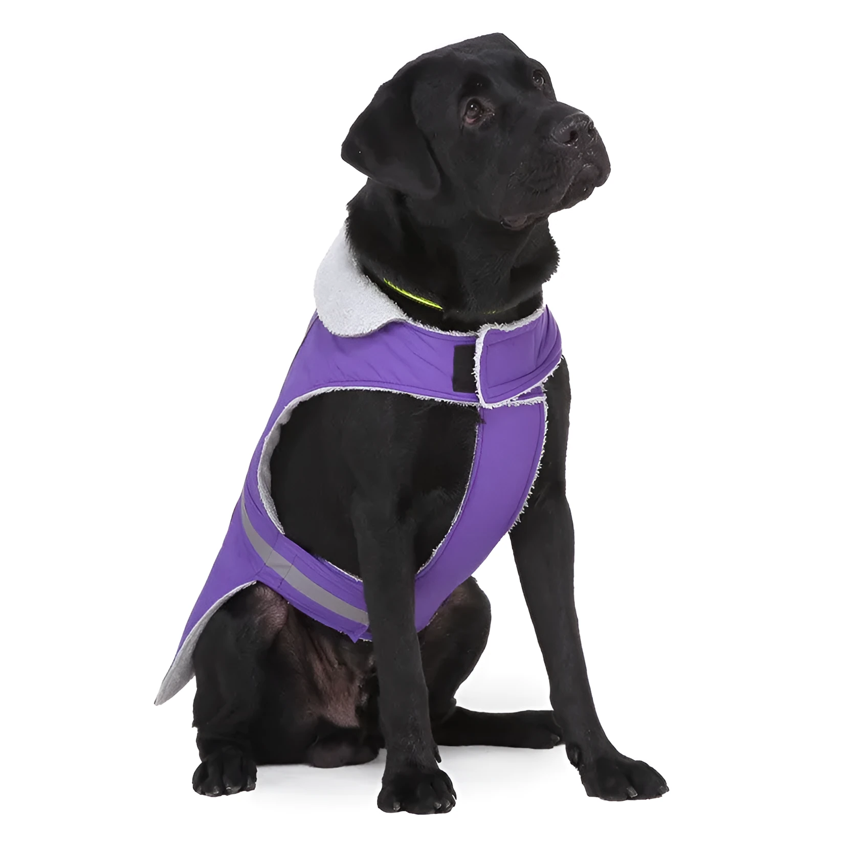 Reflective winter dog coat in pink, with harness holes, lay flat