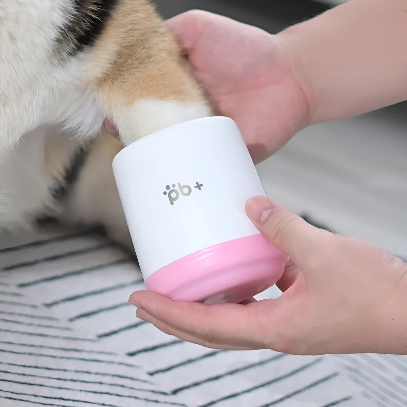 Pet footbath foot cleansing cup in Cherry Pink with soft silicone brushes for cleaning dog or cat paws