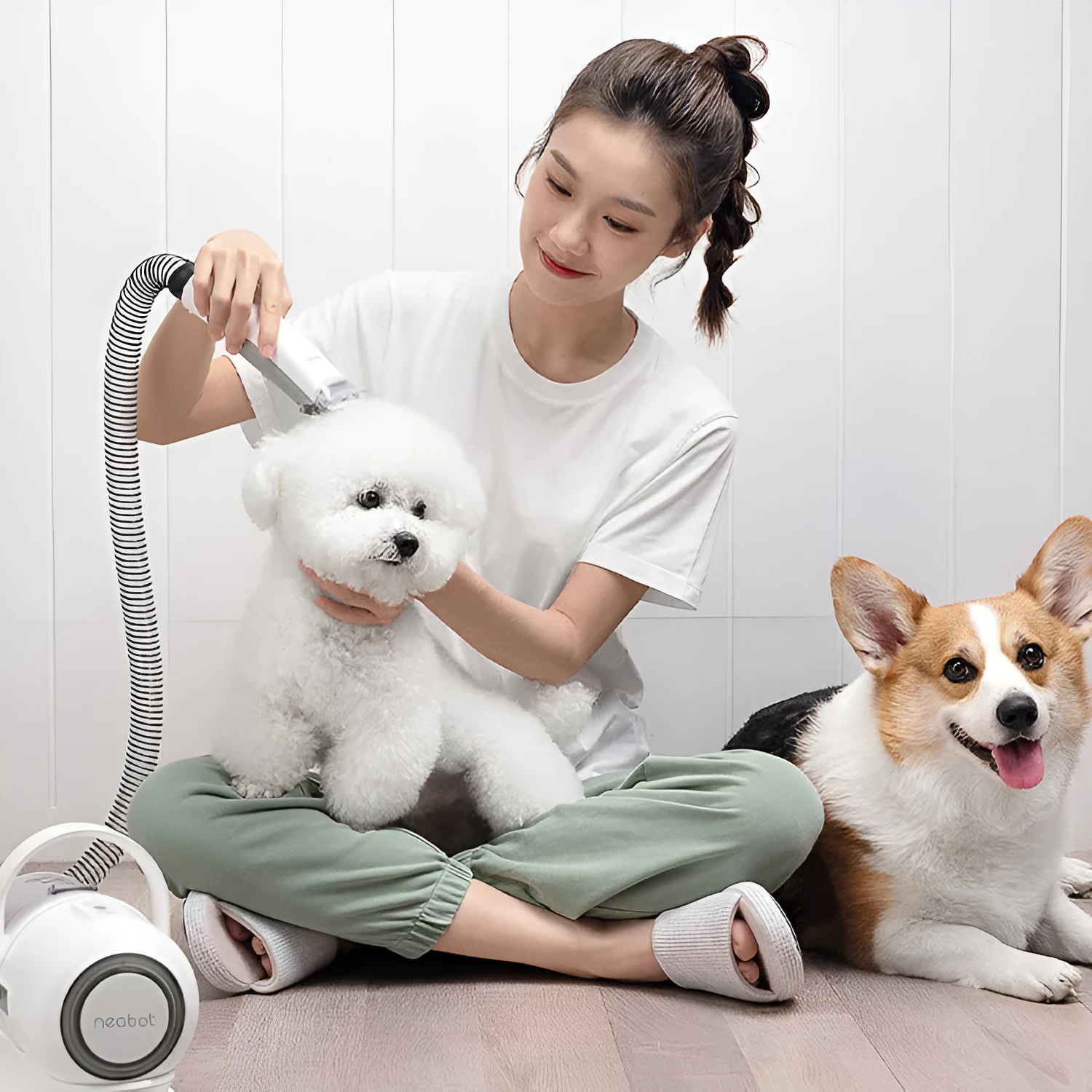 White and green pet grooming tool with vacuum suction, 9000Pa, 1000ml dust box, ABS body, 290x132x210mm