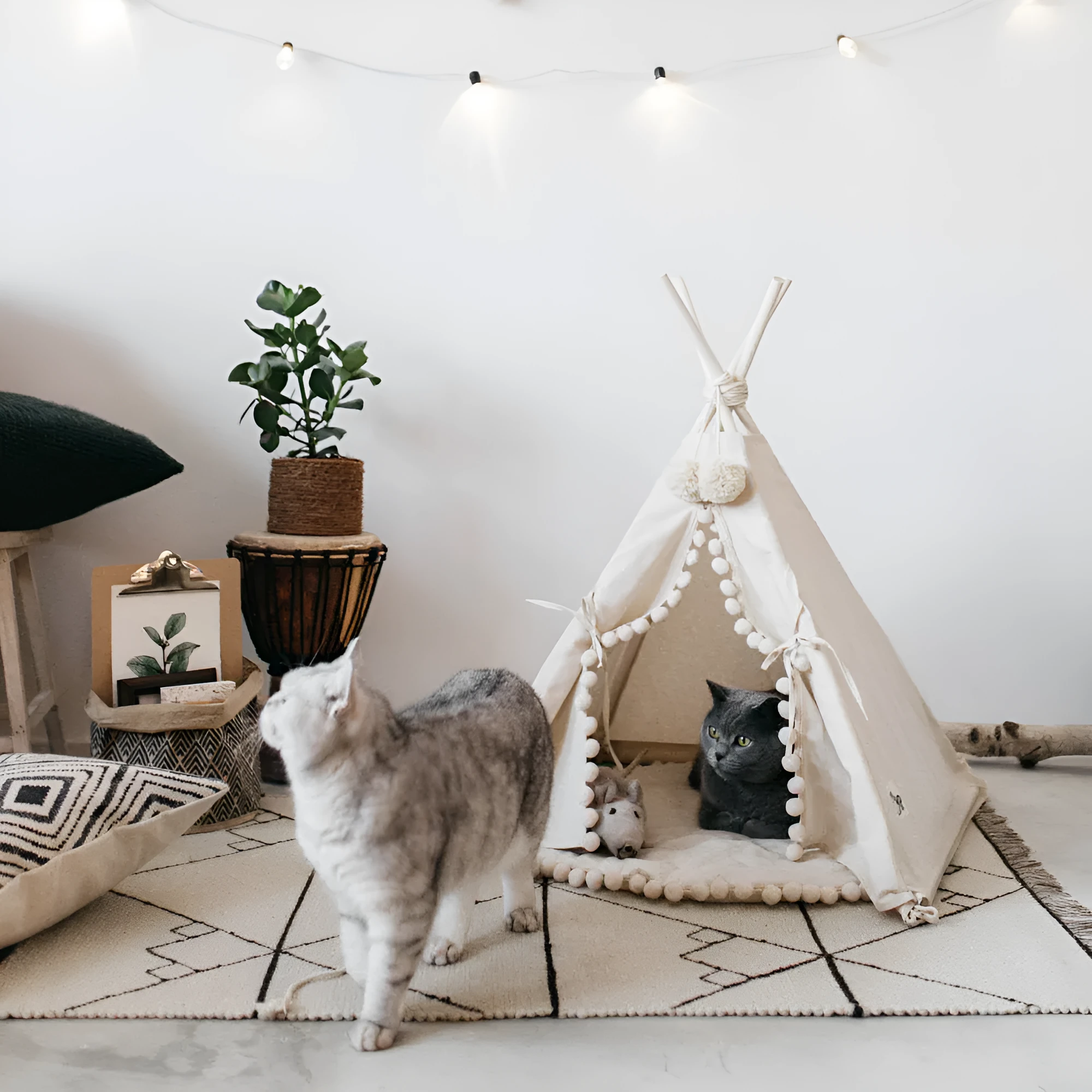 Canvas pet tent bed in teepee style with pine wood frame and removable cushion, suitable for cats and small dogs, size L shown.