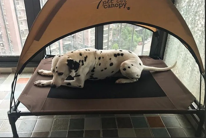 Coffee-coloured Oxford cloth pet bed on a painted metal tube frame, with removable washable surface, available in three sizes.