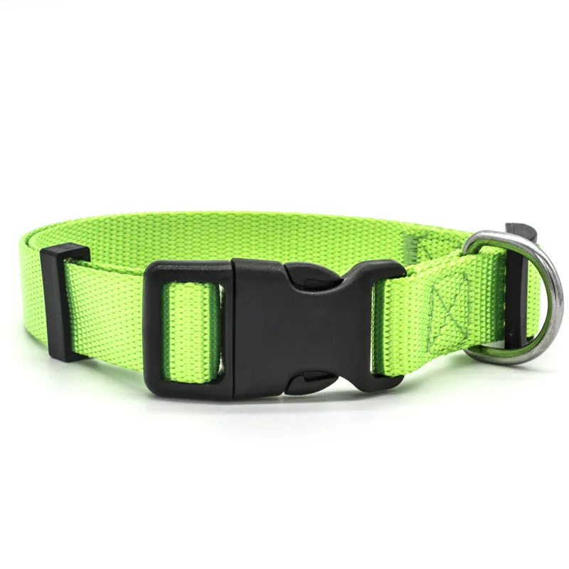Soft nylon pet collar with neoprene lining, adjustable buckle, and metal D ring on a solid background