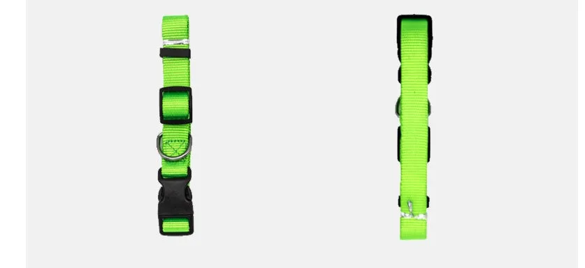 Soft nylon pet collar with neoprene lining, adjustable buckle, and metal D ring on a solid background