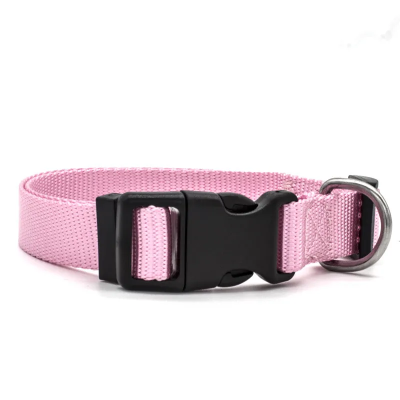 Soft nylon pet collar with neoprene lining, adjustable buckle, and metal D ring on a solid background