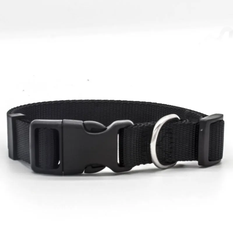 Soft nylon pet collar with neoprene lining, adjustable buckle, and metal D ring on a solid background