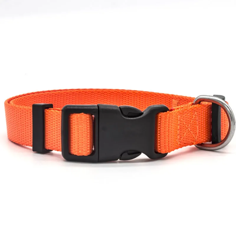 Soft nylon pet collar with neoprene lining, adjustable buckle, and metal D ring on a solid background