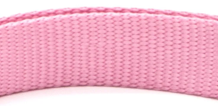 Soft nylon pet collar with neoprene lining, adjustable buckle, and metal D ring on a solid background