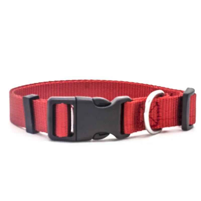 Soft nylon pet collar with neoprene lining, adjustable buckle, and metal D ring on a solid background