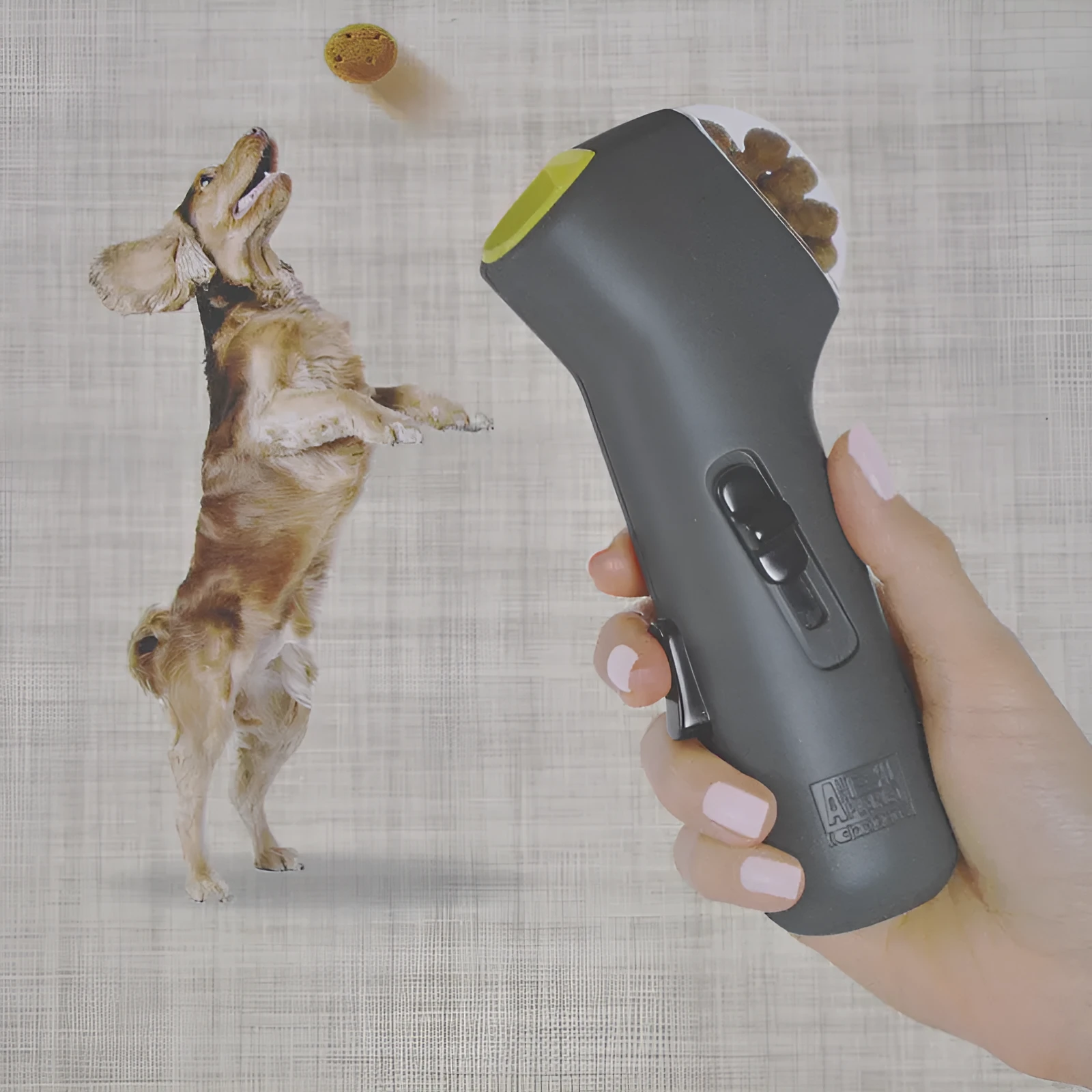 Grey PP dog training snack launcher with 18cm height on neutral background