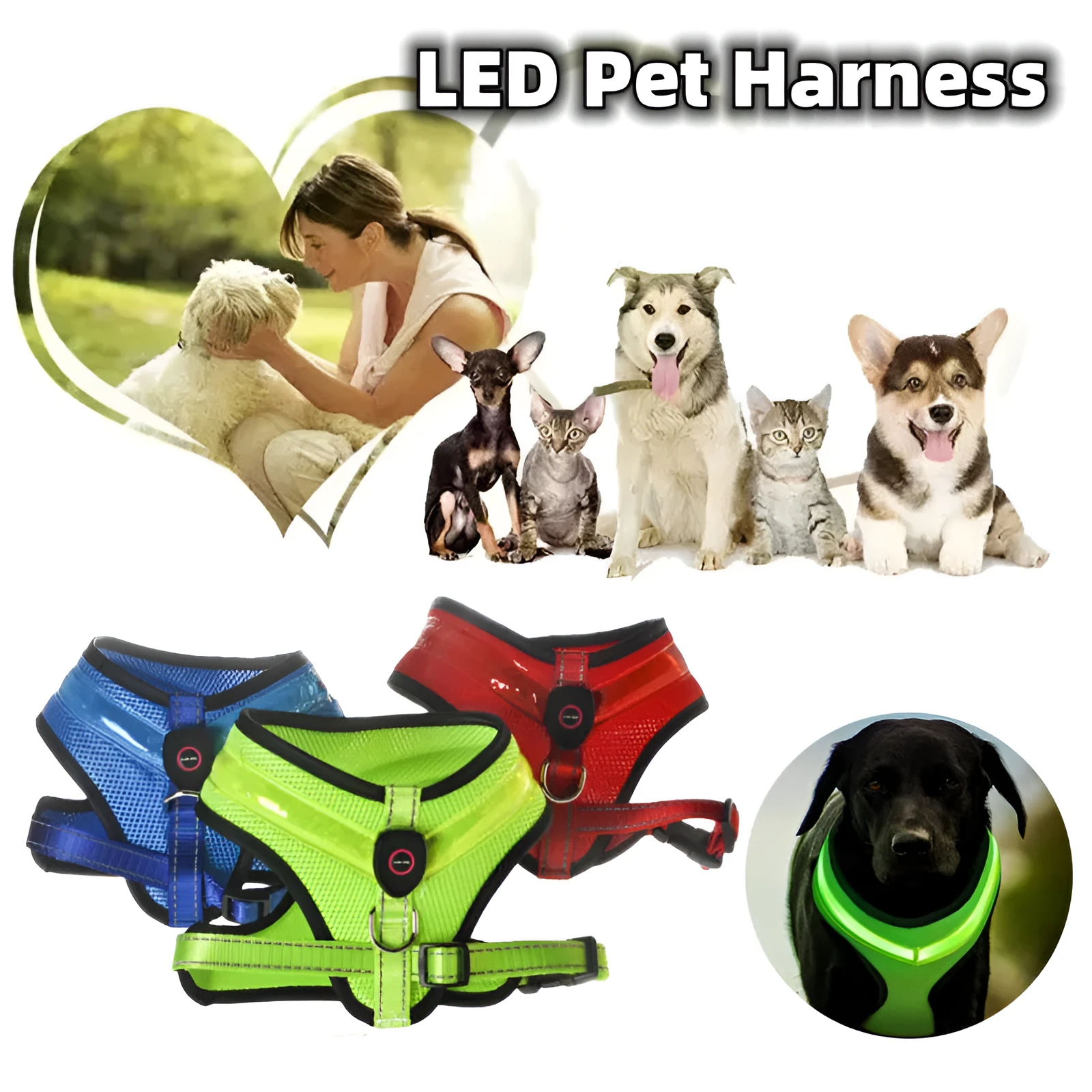 LED luminous dog harness with USB charging, mesh fabric, blue colour, size M, showing front view with battery box and plastic buckle