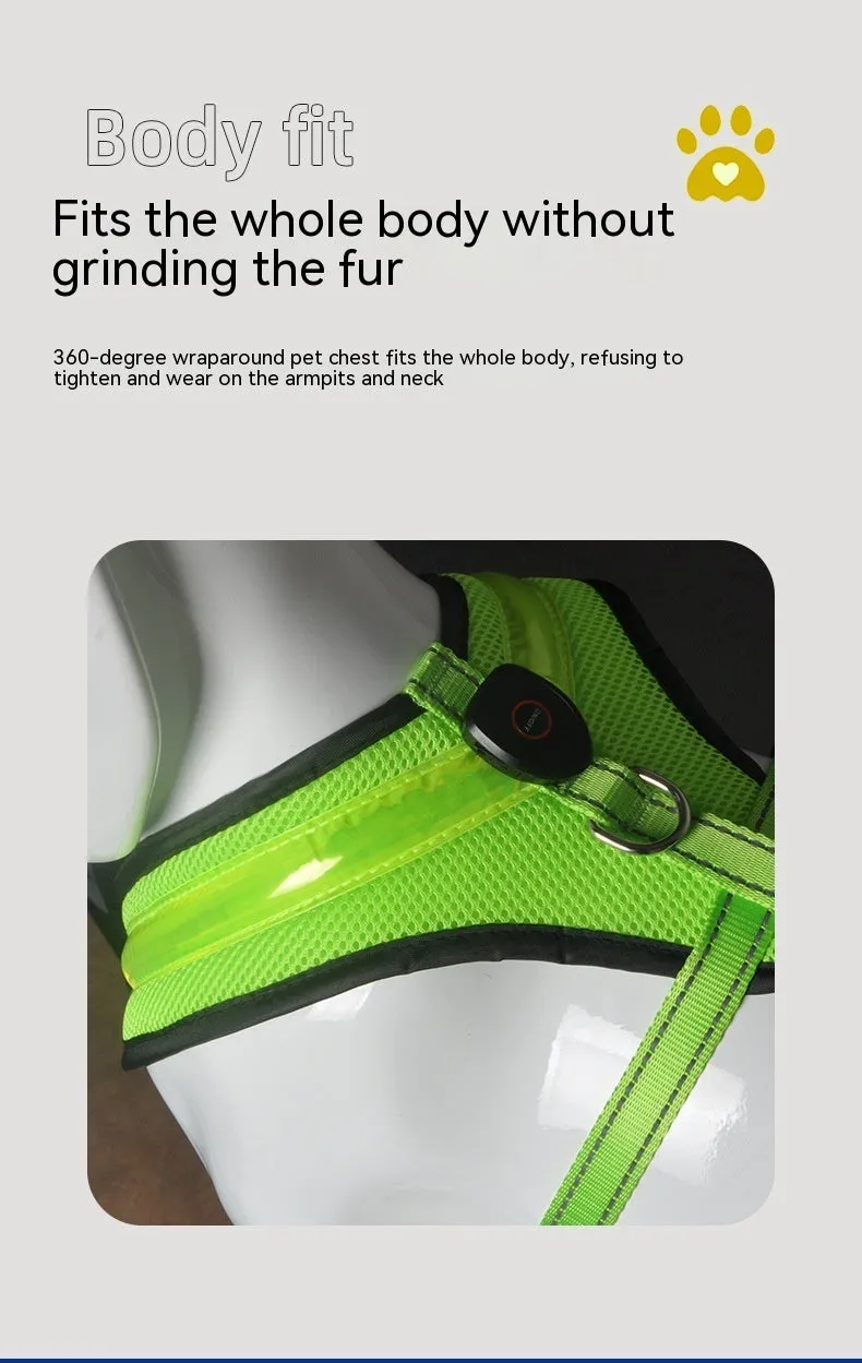 LED luminous dog harness with USB charging, mesh fabric, blue colour, size M, showing front view with battery box and plastic buckle