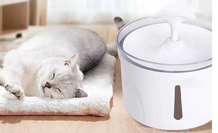 White automatic pet water dispenser with 2.5L capacity and circulation pump for cats and dogs
