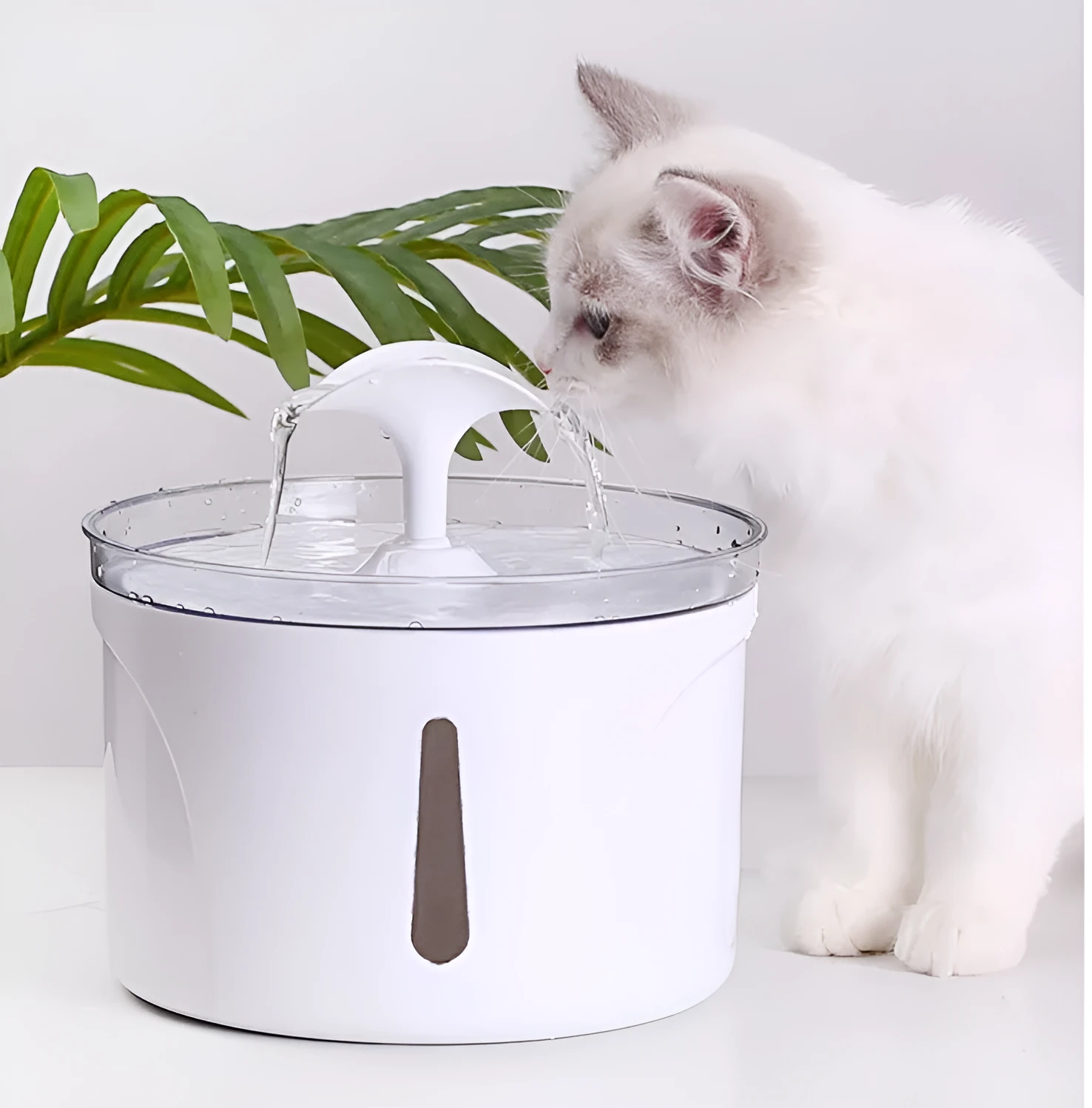 White automatic pet water dispenser with 2.5L capacity and circulation pump for cats and dogs
