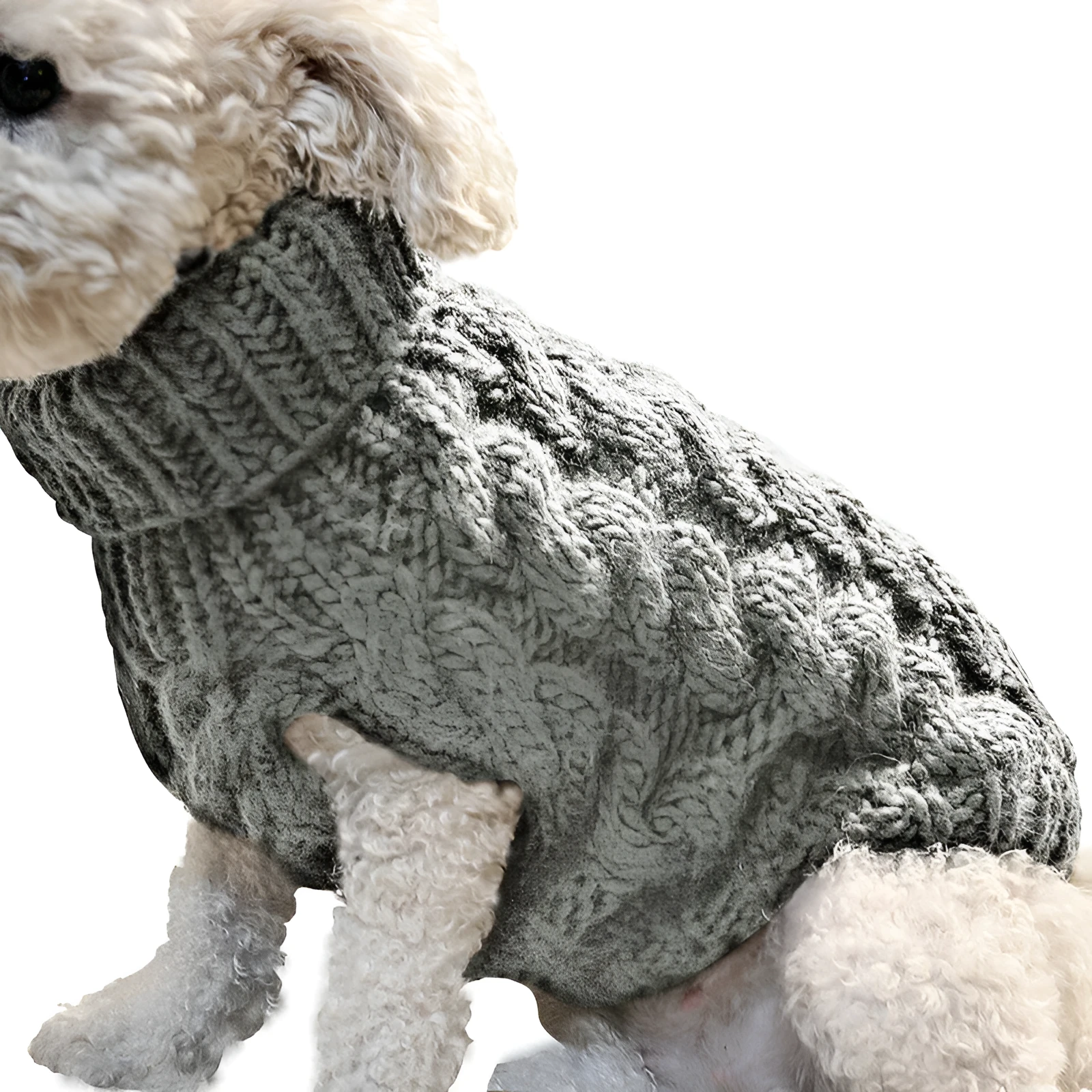 Acrylic pet sweater in beige on small dog, side view, casual winter dog clothing