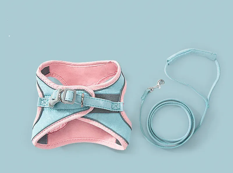 Cat traction rope chest strap harness in green orange stitching on a small dog showing reflective strip