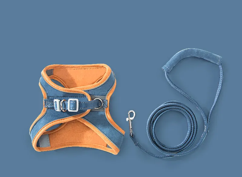 Cat traction rope chest strap harness in green orange stitching on a small dog showing reflective strip