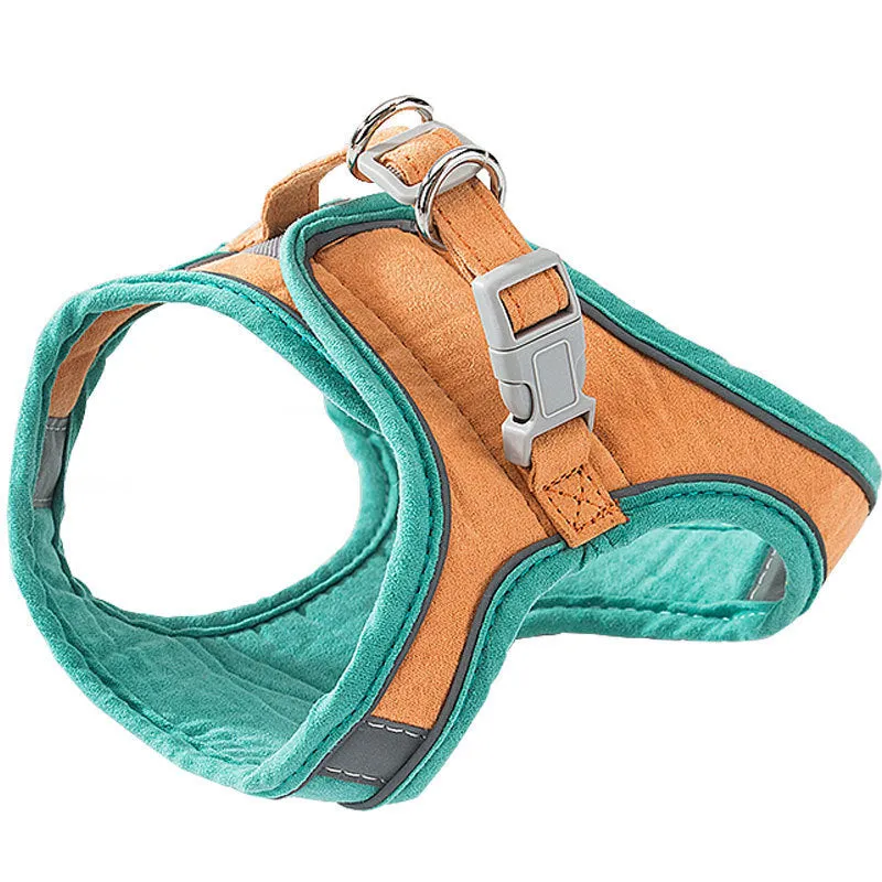 Cat traction rope chest strap harness in green orange stitching on a small dog showing reflective strip