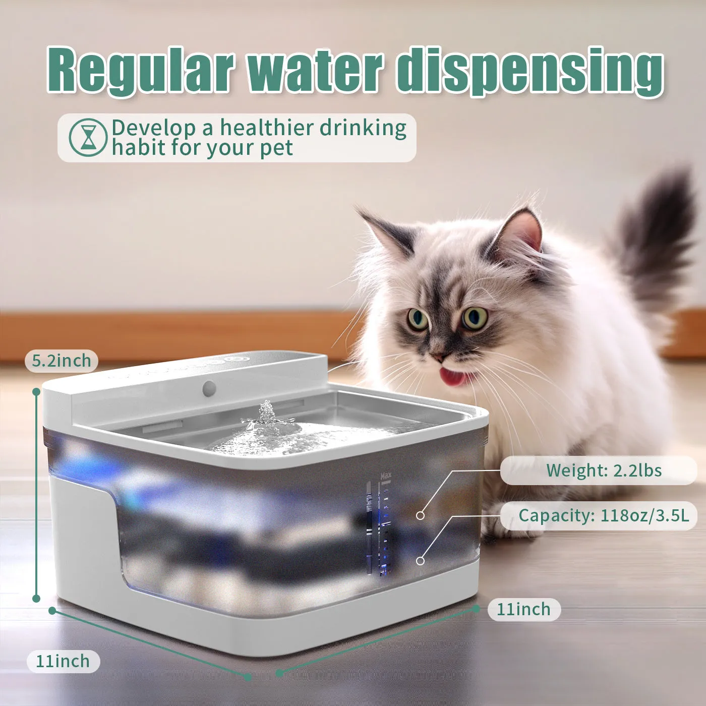 Automatic pet water dispenser with circulating pump and filter element for cats and dogs