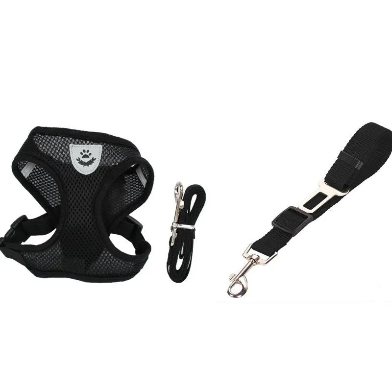 Pet car seat belt leash in black mesh with 1.2 metre rope and metal clip on white background
