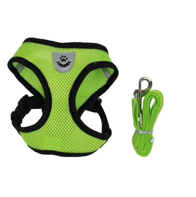 Pet car seat belt leash in black mesh with 1.2 metre rope and metal clip on white background