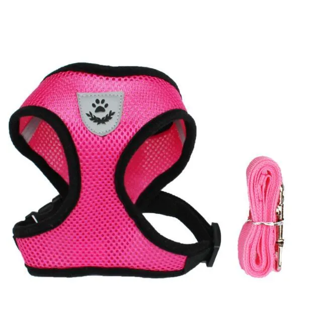 Pet car seat belt leash in black mesh with 1.2 metre rope and metal clip on white background