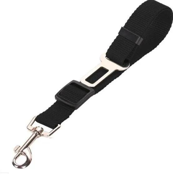 Pet car seat belt leash in black mesh with 1.2 metre rope and metal clip on white background