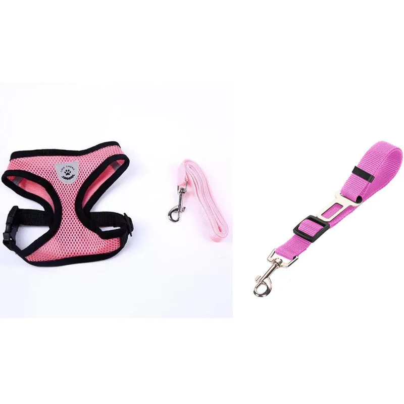Pet car seat belt leash in black mesh with 1.2 metre rope and metal clip on white background