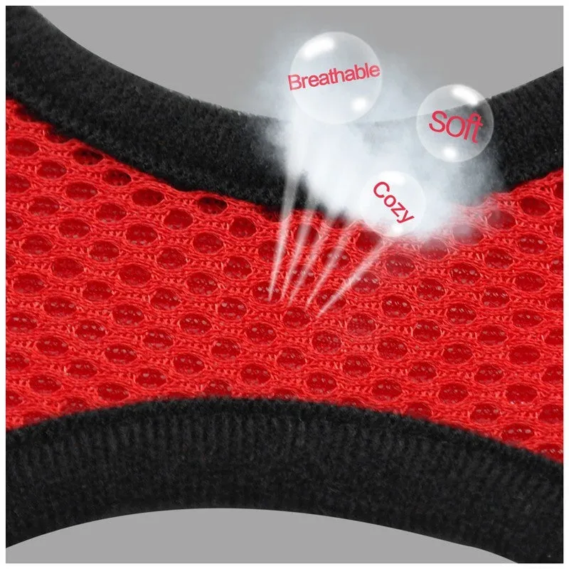 Pet car seat belt leash in black mesh with 1.2 metre rope and metal clip on white background