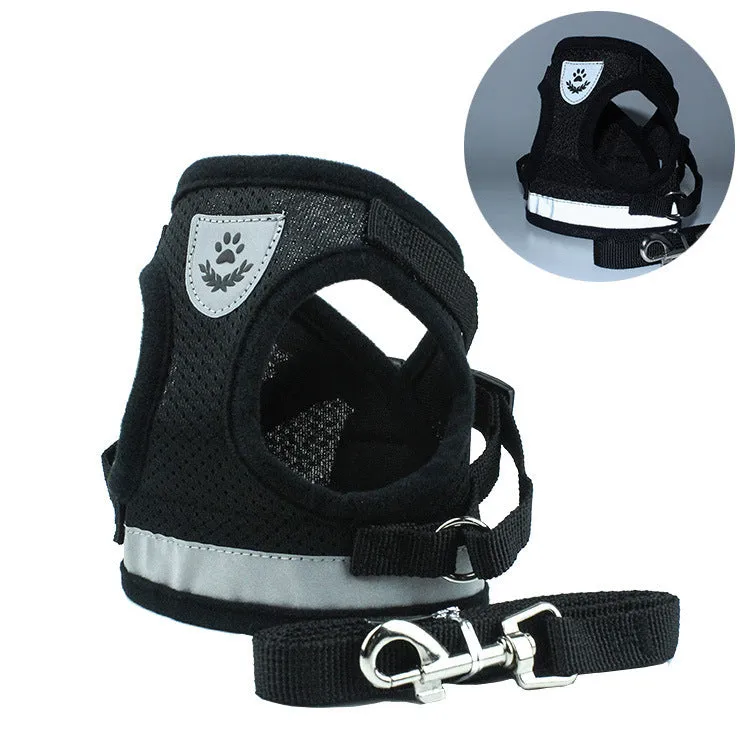 Pet car seat belt leash in black mesh with 1.2 metre rope and metal clip on white background