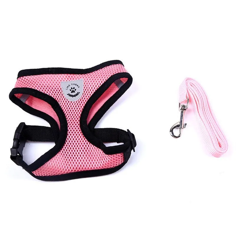 Pet car seat belt leash in black mesh with 1.2 metre rope and metal clip on white background