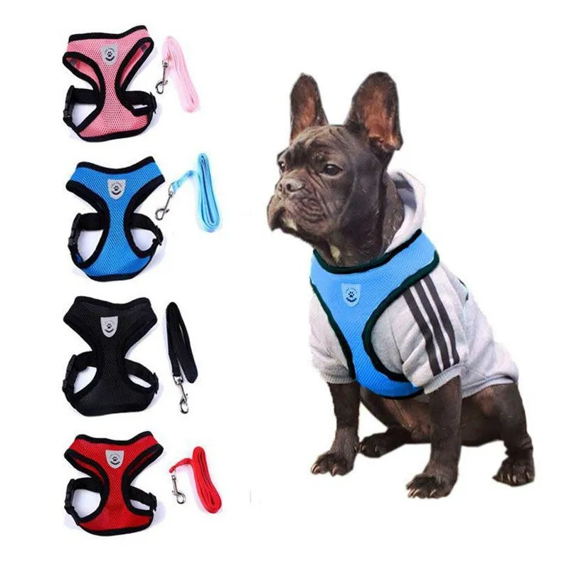 Pet car seat belt leash in black mesh with 1.2 metre rope and metal clip on white background