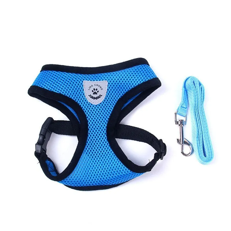 Pet car seat belt leash in black mesh with 1.2 metre rope and metal clip on white background