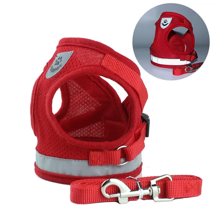 Pet car seat belt leash in black mesh with 1.2 metre rope and metal clip on white background