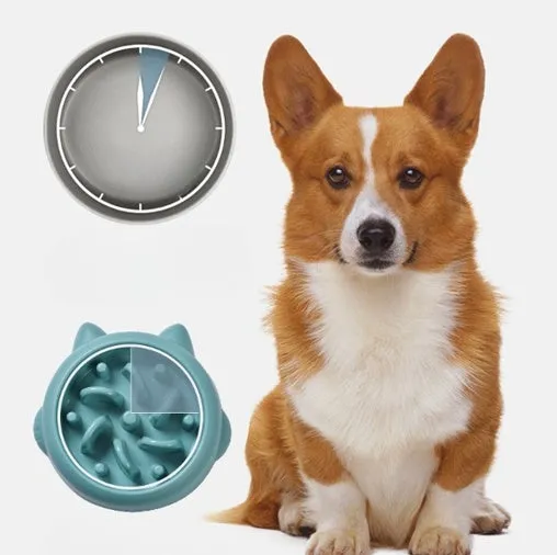 Pet slow feeder bowl in green with fun-shaped obstacles to slow eating and prevent gulping