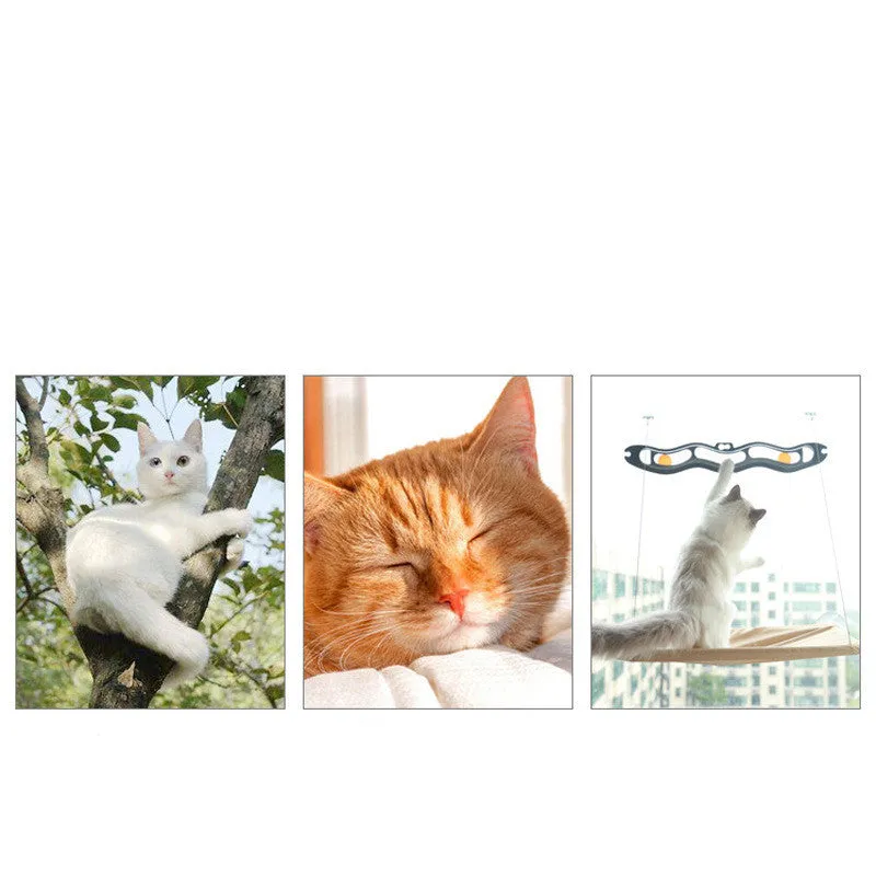 Cat hammock made of Oxford cloth with plastic steel wire, 55cm long, hanging on window with suction cups