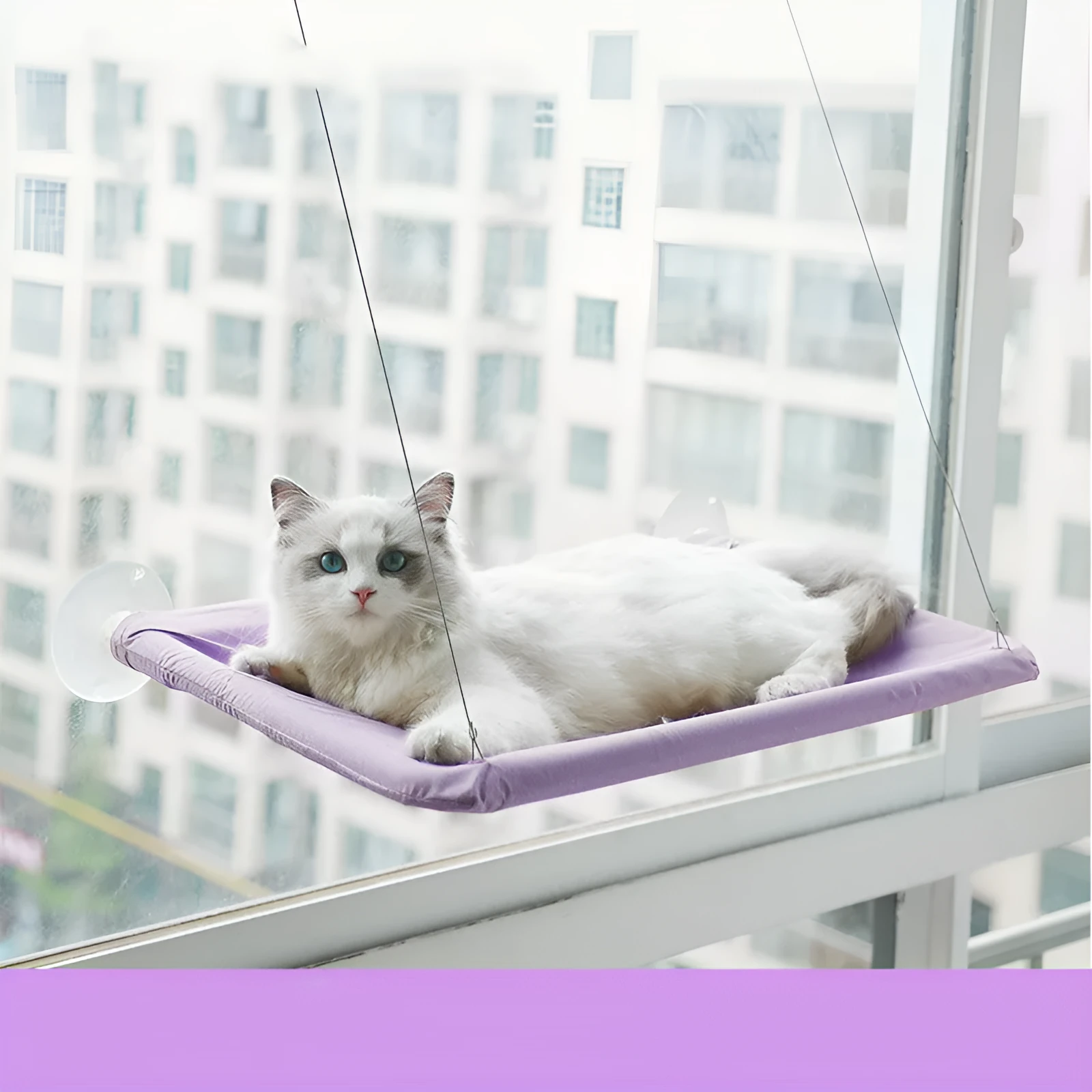 Cat hammock made of Oxford cloth with plastic steel wire, 55cm long, hanging on window with suction cups