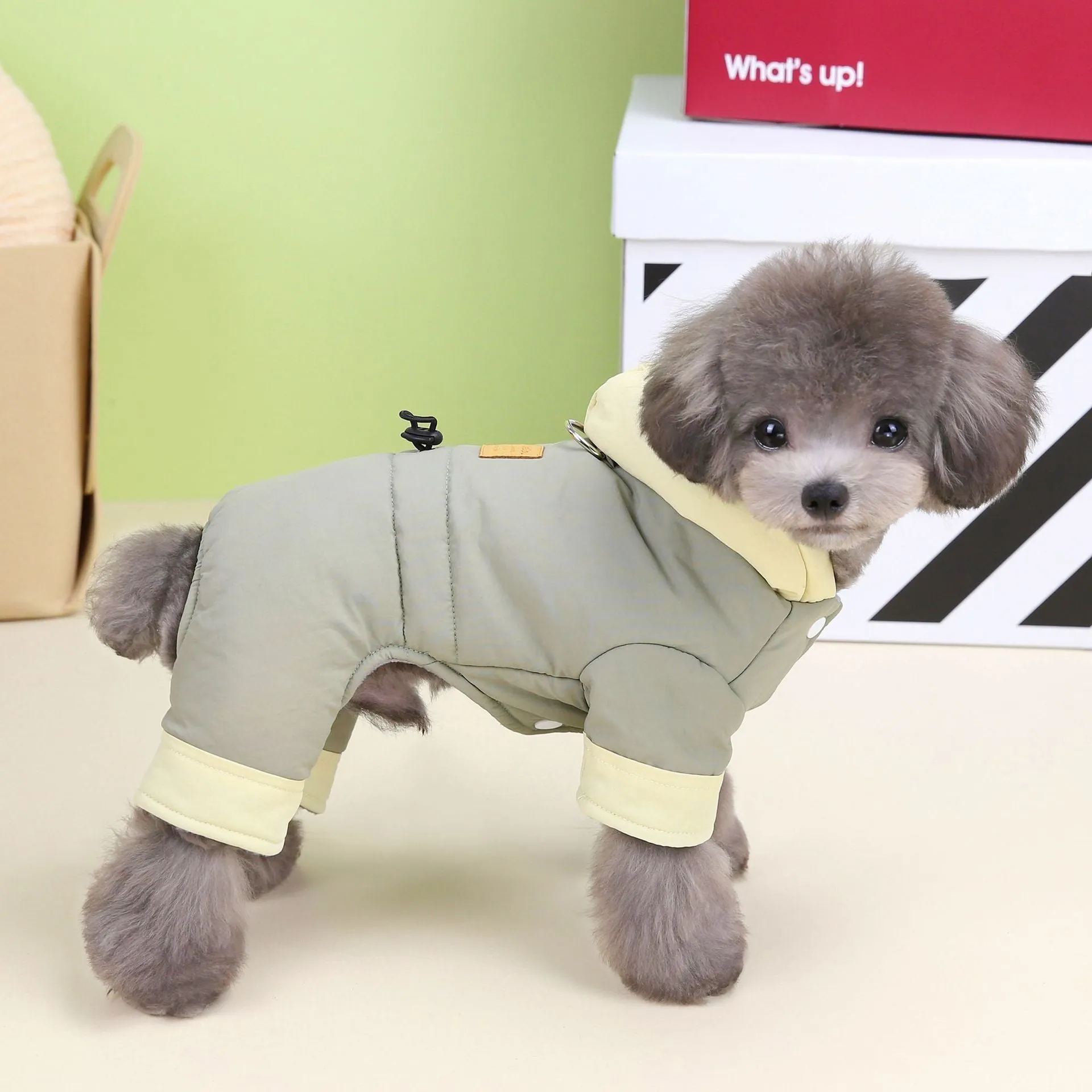 Dog wearing autumn winter four-leg cotton-padded coat in dark navy blue