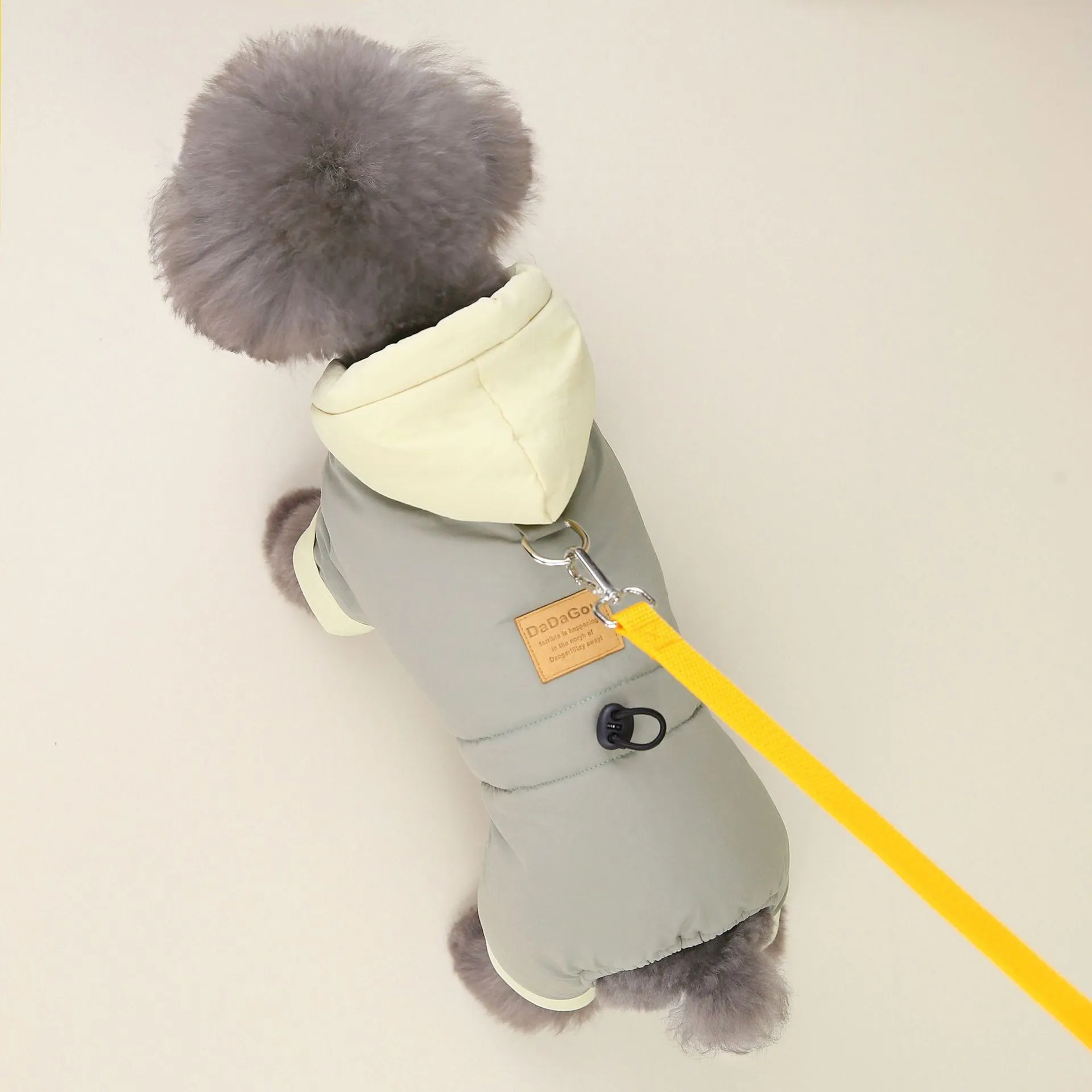 Dog wearing autumn winter four-leg cotton-padded coat in dark navy blue
