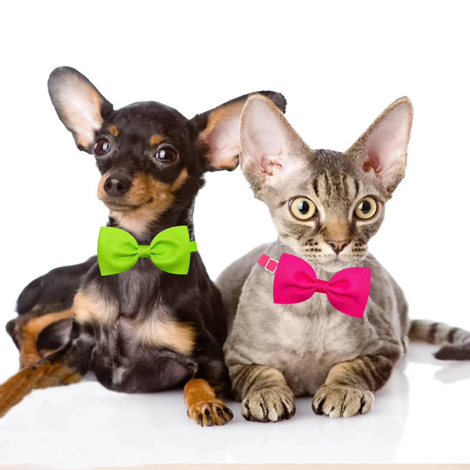 Adjustable thread belt bow tie for cats and dogs, monochrome pattern, available in multiple colours
